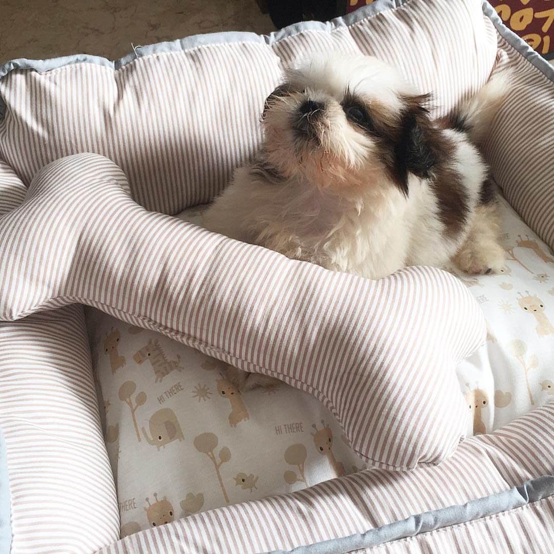 Peanut Mädchen